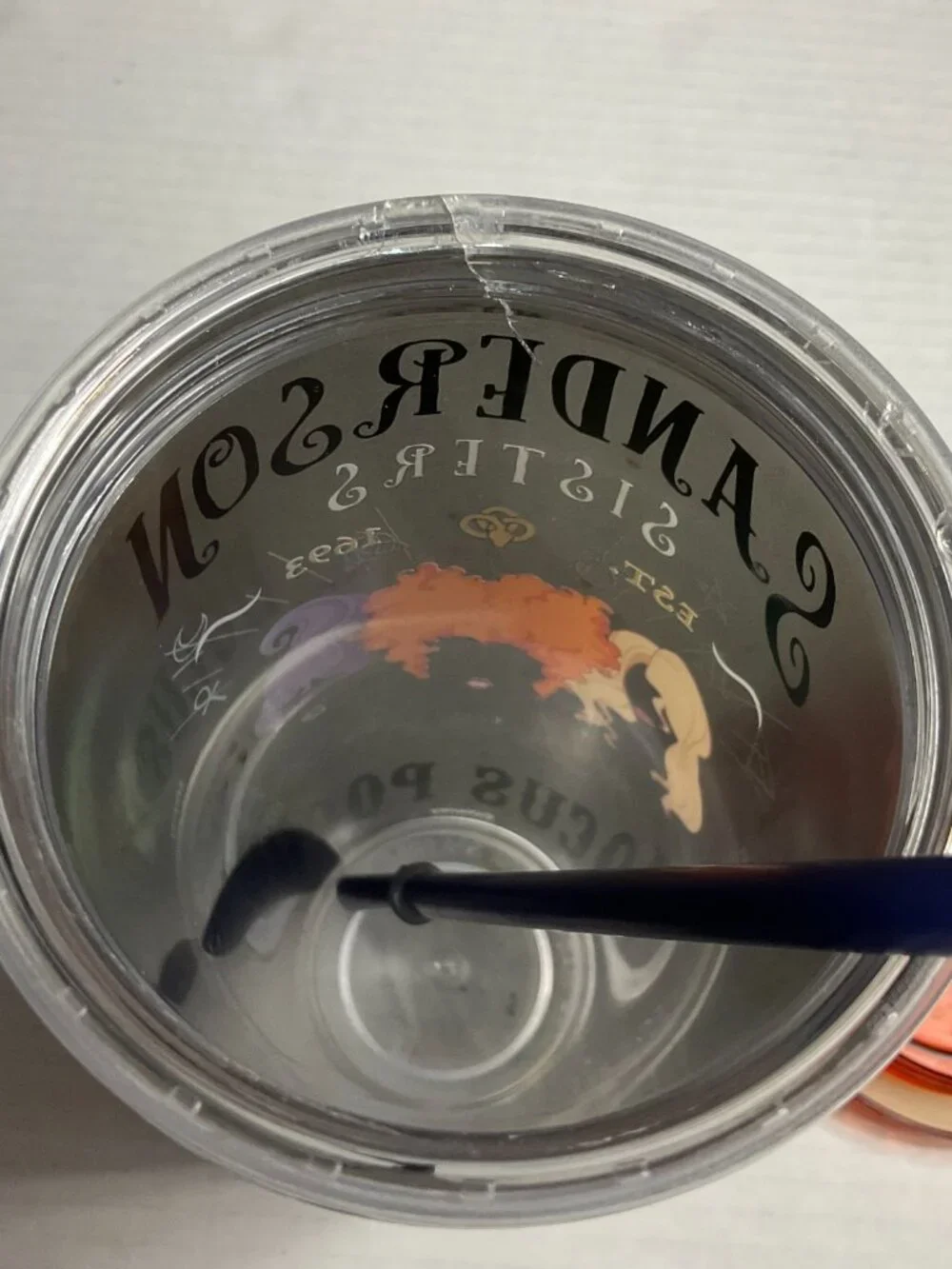 Disney Hocus Pocus Sanderson Sisters Tumbler